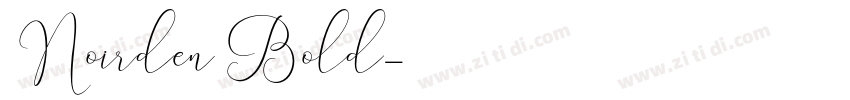Noirden Bold字体转换